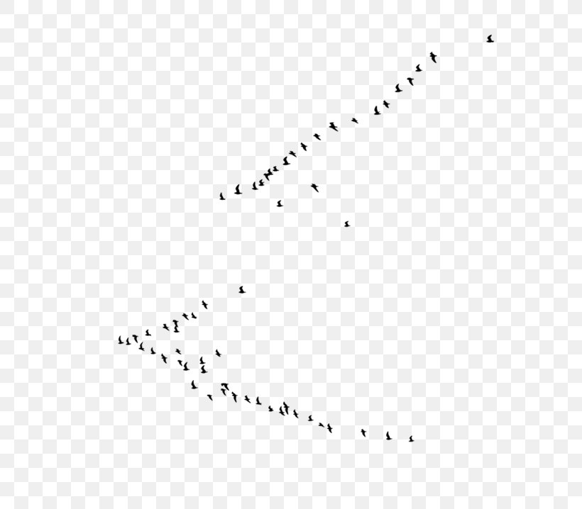 Bird Silhouette Greylag Goose, PNG, 756x718px, Bird, Animal, Animal Migration, Area, Beak Download Free