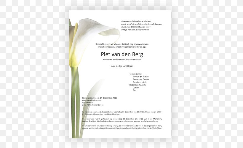 Brand Font, PNG, 500x500px, Brand, Flower, Text Download Free
