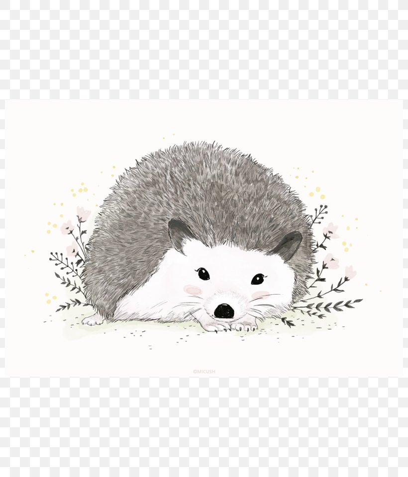 Domesticated Hedgehog European Hedgehog Porcupine Painting, PNG, 800x960px, Domesticated Hedgehog, Animal, Art, Bear, Domestication Download Free