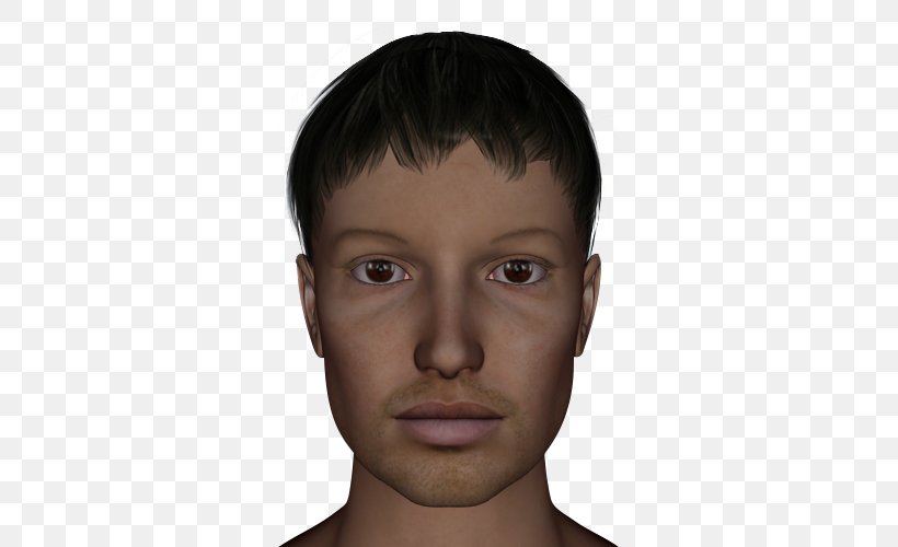 Eyebrow Face Facial Expression Cheek, PNG, 500x500px, Eyebrow, Boy, Brown Hair, Cheek, Child Download Free