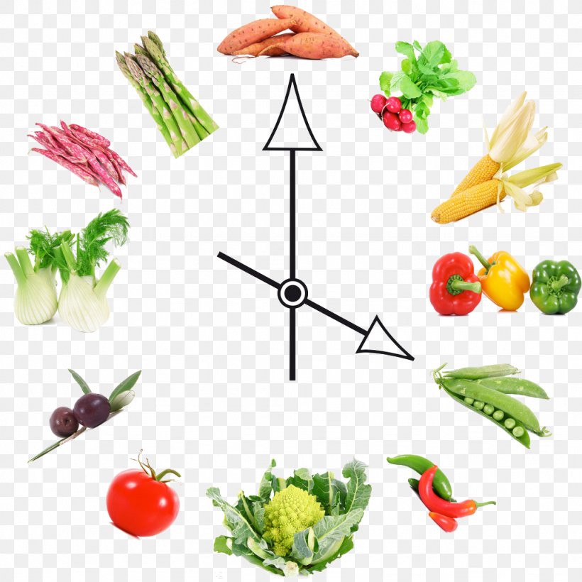 Junk Food Eating Meal Calorie, PNG, 1024x1024px, Junk Food, Calorie, Clock, Cooking, Diet Download Free