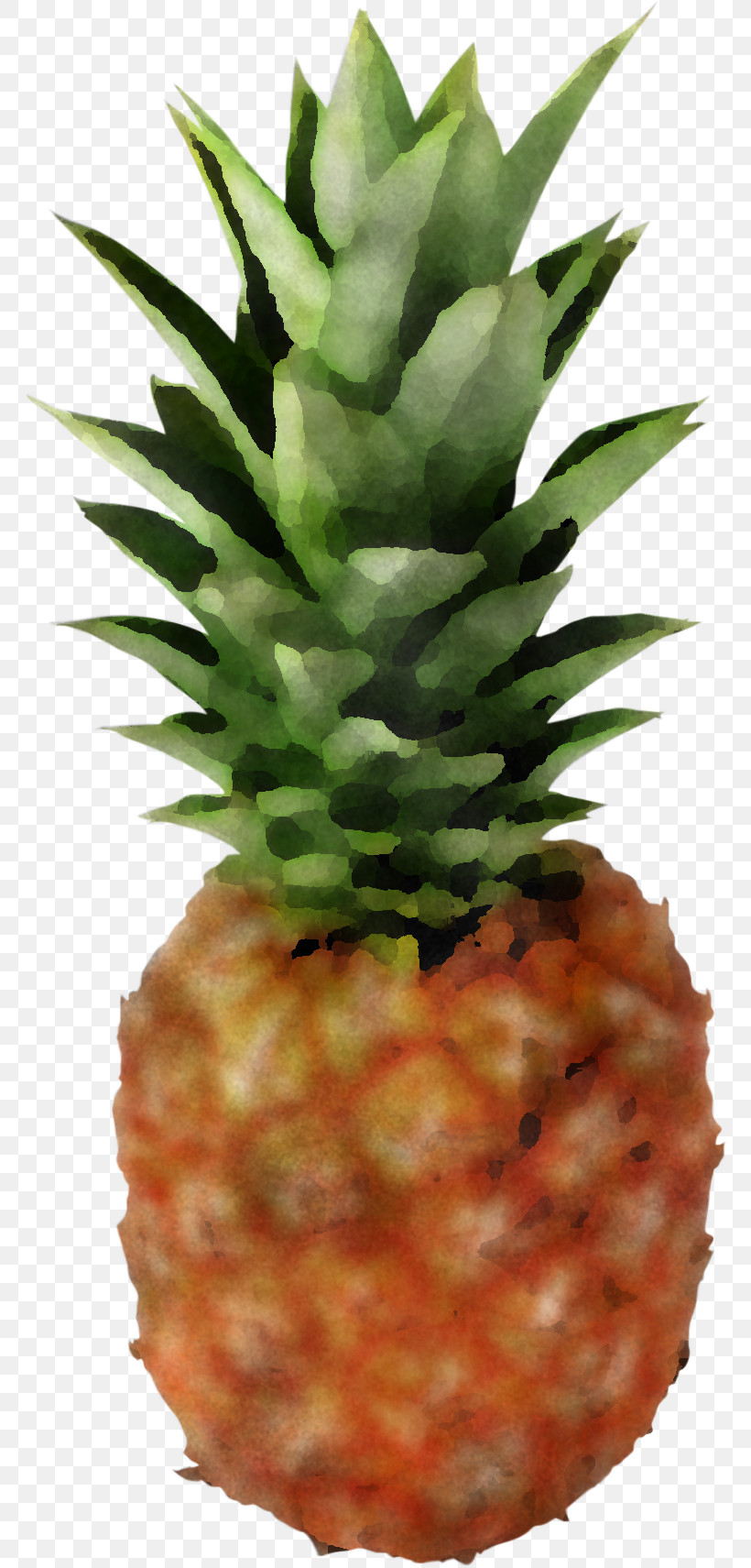 Pineapple, PNG, 768x1711px, Pineapple, Ananas, Food, Fruit, Natural Foods Download Free