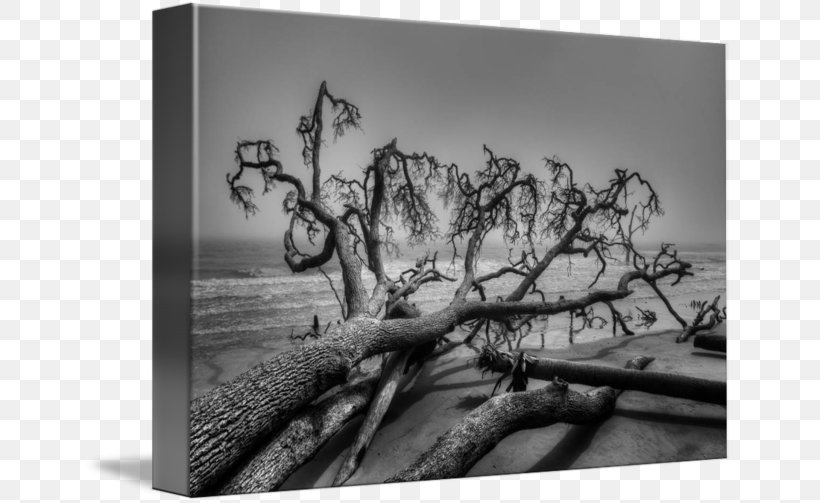 Landscape Photography Black And White Landscape Painting Art, PNG, 650x503px, Landscape Photography, Art, Artwork, Black And White, Branch Download Free