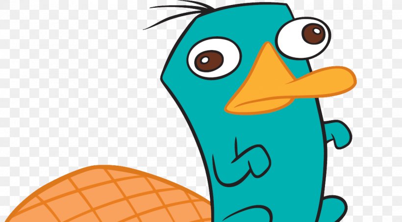 Perry The Platypus Phineas Flynn Ferb Fletcher Drawing, PNG, 1138x630px, Perry The Platypus, Animated Series, Artwork, Beak, Bird Download Free