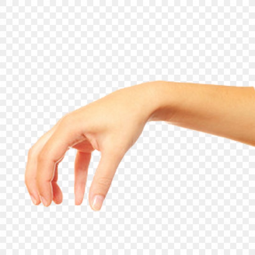 Thumb Hand Finger, PNG, 1181x1181px, Thumb, Arm, Finger, Hand, Hand Model Download Free
