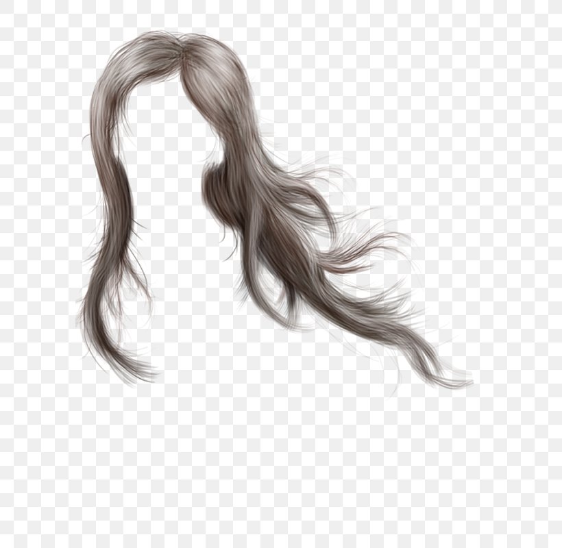 Long Hair Hair Coloring Wig Moustache, PNG, 600x800px, Long Hair, Black Hair, Brown Hair, Gimp, Hair Download Free
