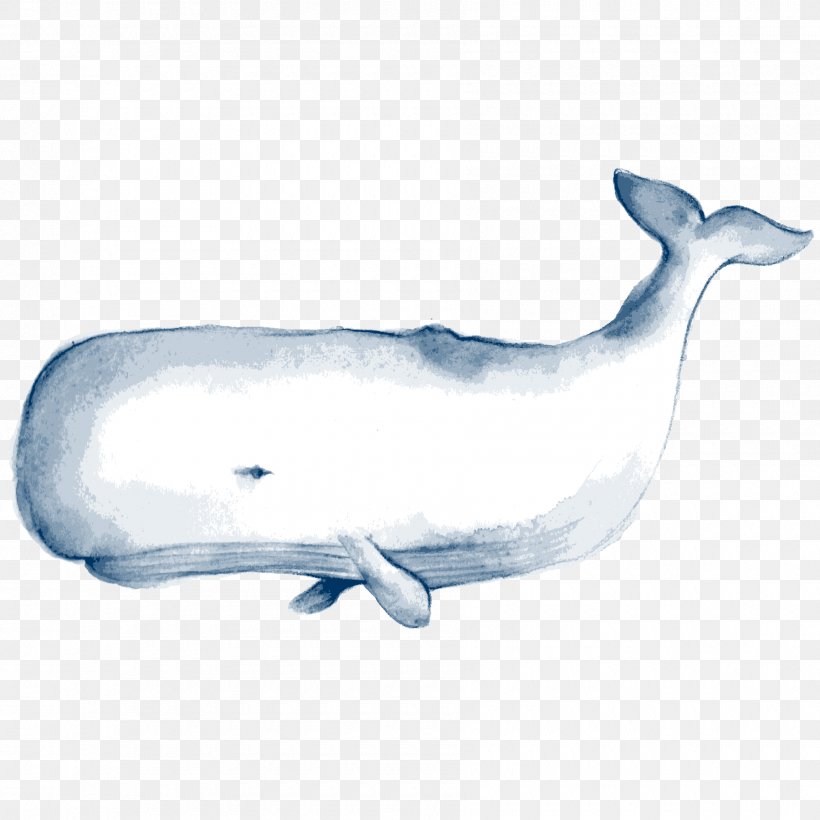 Tucuxi Common Bottlenose Dolphin Cartoon Sea Beach, PNG, 1800x1800px, Tucuxi, Beach, Cartoon, Common Bottlenose Dolphin, Convite Download Free