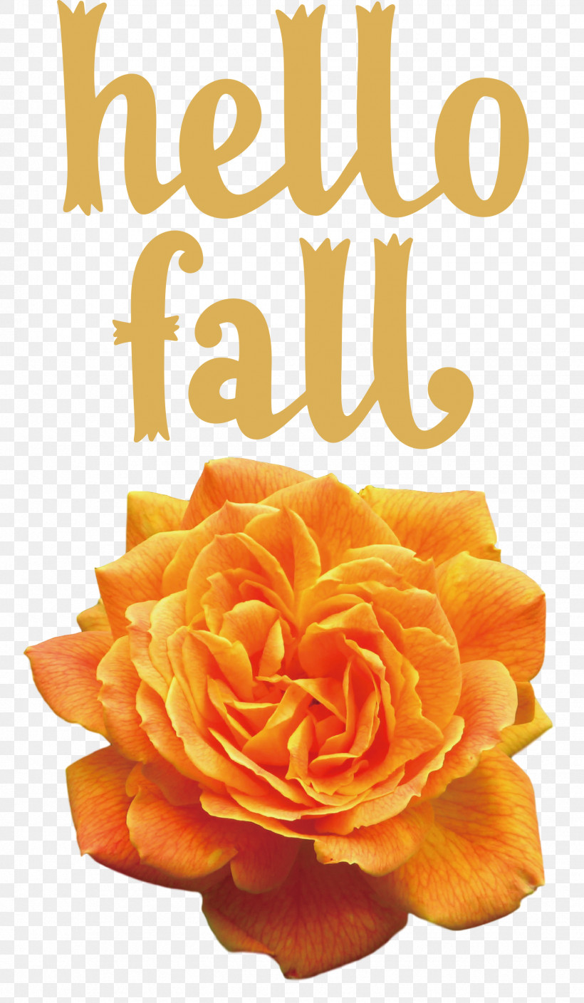 Hello Fall Fall Autumn, PNG, 1746x3000px, Hello Fall, Autumn, Cut Flowers, Fall, Floral Design Download Free