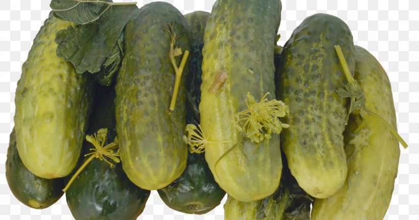 Pickled Cucumber Pickling Vegetable Salting, PNG, 1200x630px, Pickled Cucumber, Brined Pickles, Cucumber, Cucumber Gourd And Melon Family, Cucumis Download Free