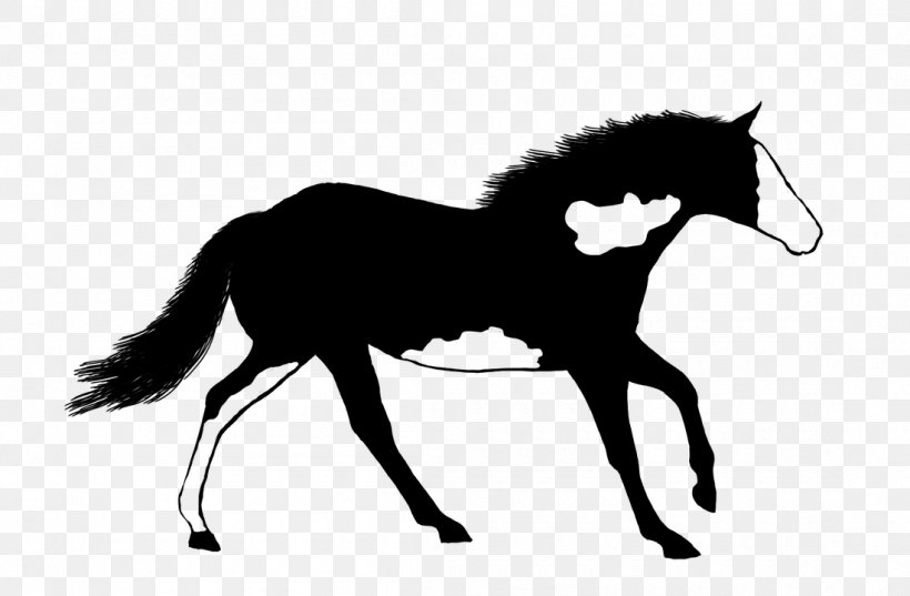 American Paint Horse Mustang Stallion Foal Mare, PNG, 1100x721px, American Paint Horse, Black And White, Bridle, Colt, English Riding Download Free