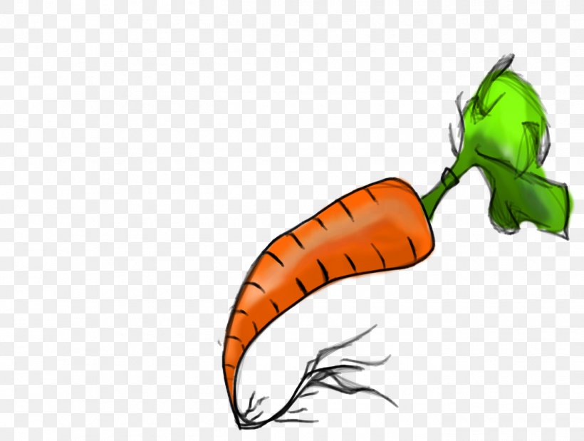 Drawing Carrot DeviantArt Digital Art Clip Art, PNG, 1350x1020px, Drawing, August 20, August 22, Carrot, Deviantart Download Free