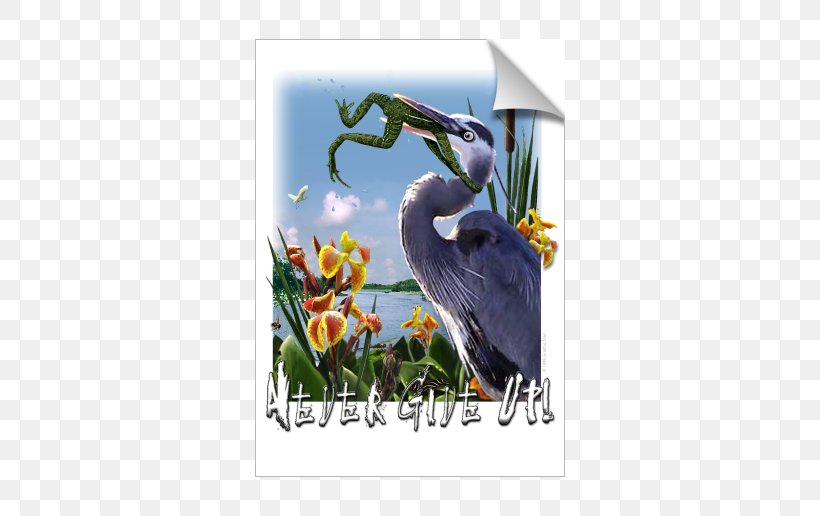 Frog Swallow Great Blue Heron Bird Grey Heron, PNG, 674x516px, Frog, Advertising, Beak, Bird, Crane Download Free