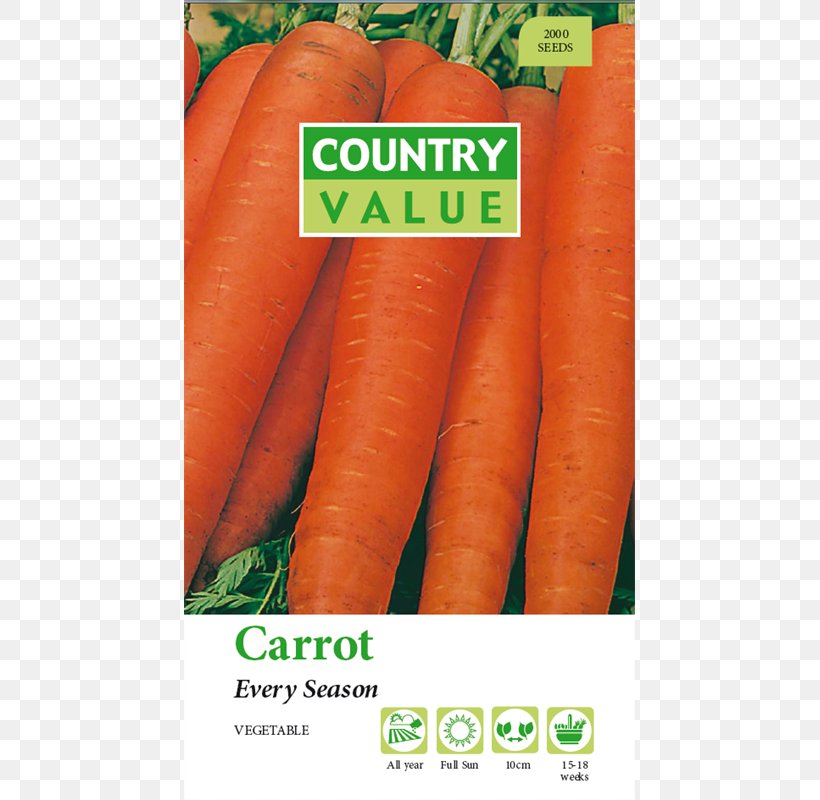 Baby Carrot Cosmos Daisy Family Plant Seed, PNG, 800x800px, Baby Carrot, Annual Plant, Carrot, Cosmos, Daisy Family Download Free