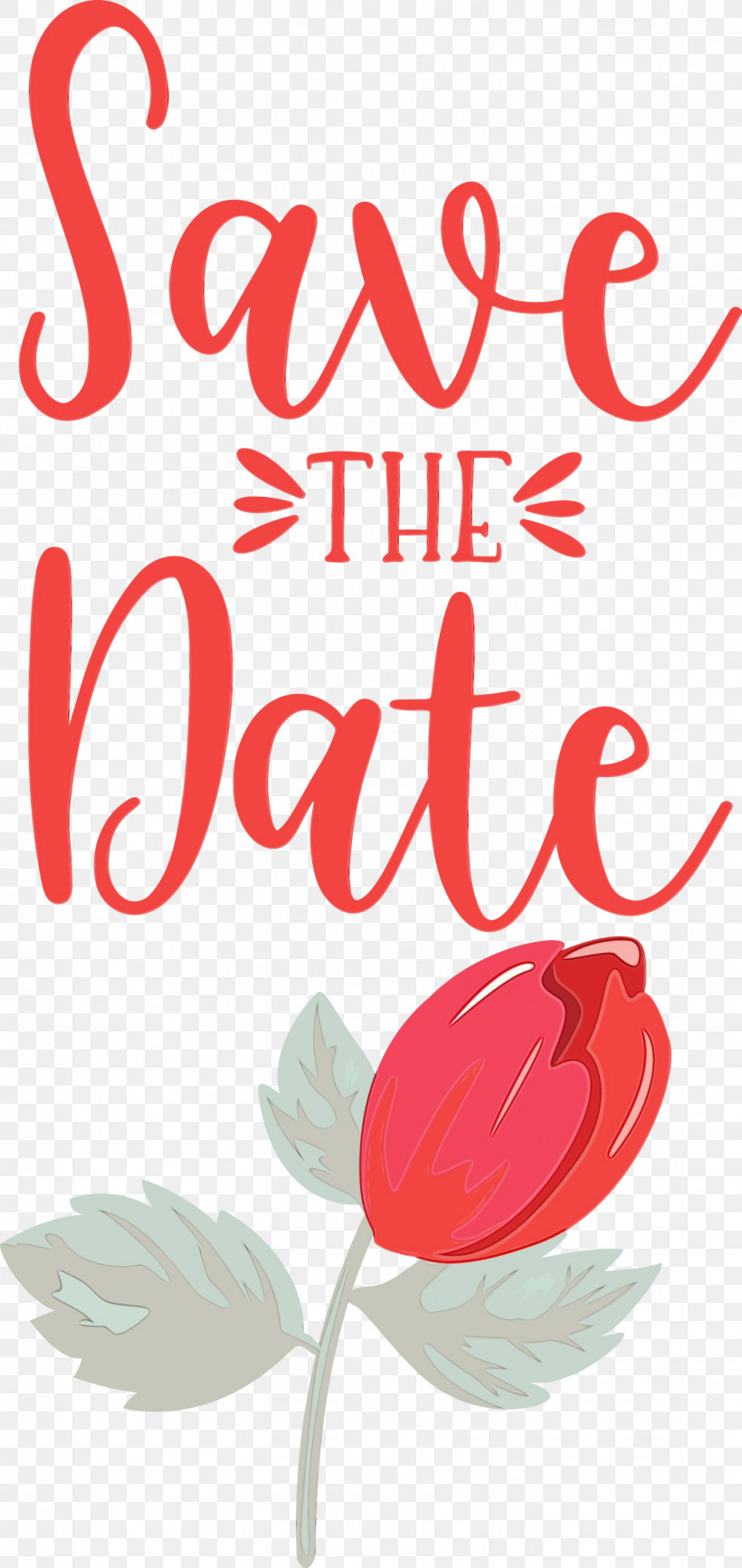 Floral Design, PNG, 1419x3000px, Save The Date, Biology, Floral Design, Geometry, Line Download Free