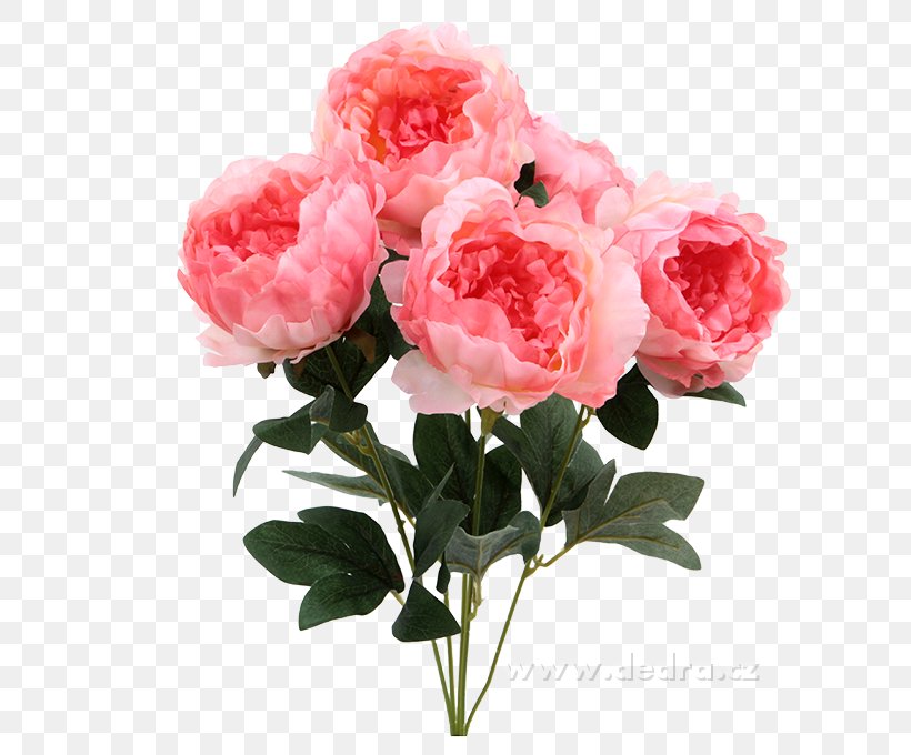 Garden Roses Cabbage Rose Peony Cut Flowers Flower Bouquet, PNG, 680x680px, Garden Roses, Annual Plant, Artificial Flower, Cabbage Rose, Carnation Download Free