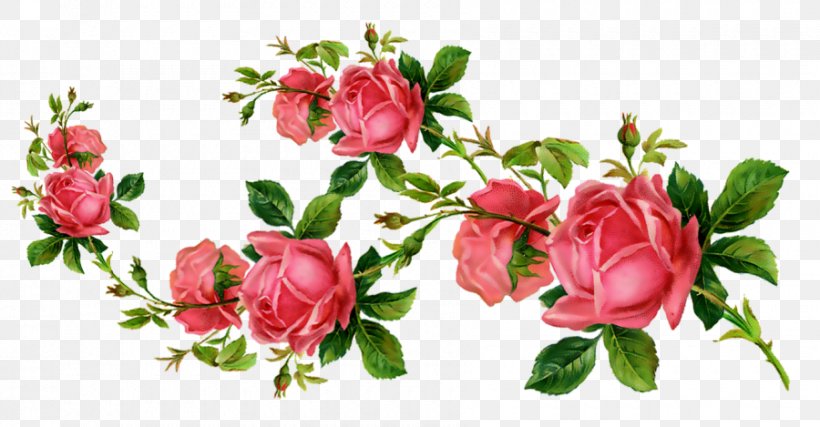 Garden Roses Cut Flowers Clip Art, PNG, 900x469px, Garden Roses, Azalea, Branch, Bud, Cut Flowers Download Free