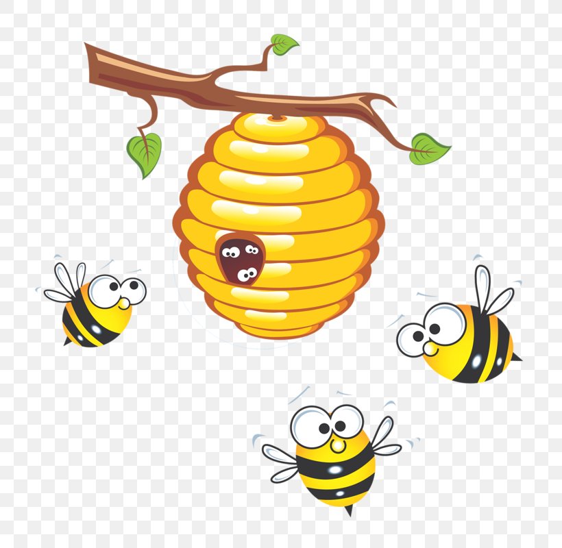 Honey Bee Beehive Clip Art, PNG, 762x800px, Bee, Artwork, Beehive, Bumblebee, Drawing Download Free
