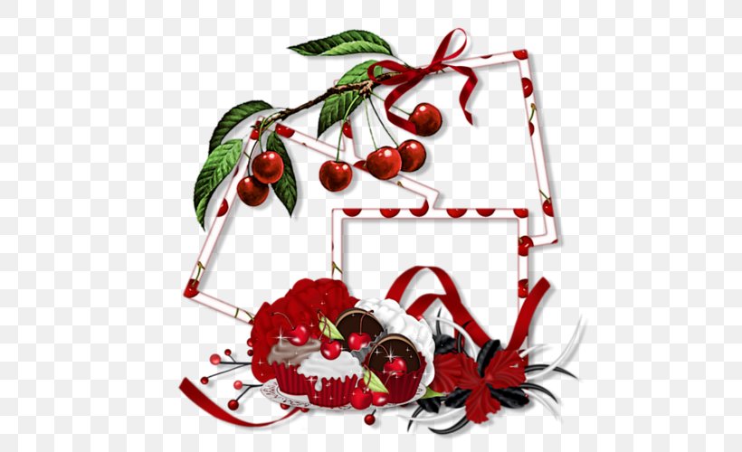 Photography Fruit Picture Frames, PNG, 500x500px, Photography, August 7, Biscuits, Branch, Christmas Download Free