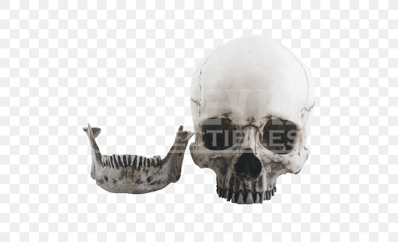 Skull Skeleton Sculpture Figurine, PNG, 500x500px, Skull, Bone, Figurine, Head, Human Skeleton Download Free