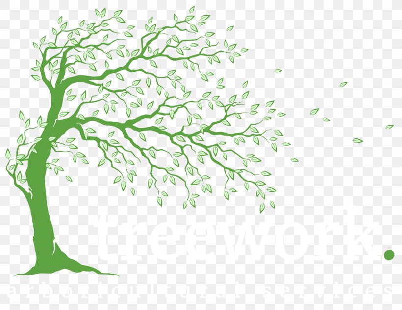 Tree Arborist Branch Woody Plant, PNG, 1000x772px, Tree, Arboriculture, Arborist, Art, Branch Download Free