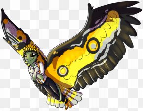 Bird - Bird Of Prey Beak PNG