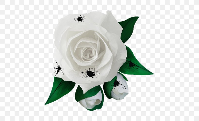 Garden Roses Rosa Chinensis Rosa Xd7 Alba White, PNG, 500x500px, Garden Roses, Artificial Flower, Color, Cut Flowers, Designer Download Free