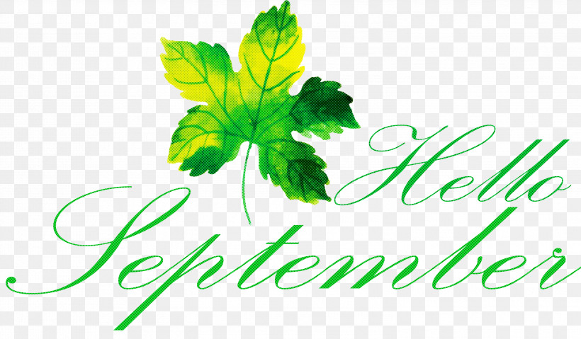 Hello September, PNG, 2999x1755px, Hello September, Cooking Banana, Flowerpot, Grape Leaves, Herb Download Free