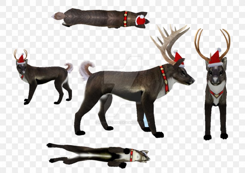 Reindeer Wildlife, PNG, 1024x724px, Reindeer, Antler, Deer, Horn, Wildlife Download Free