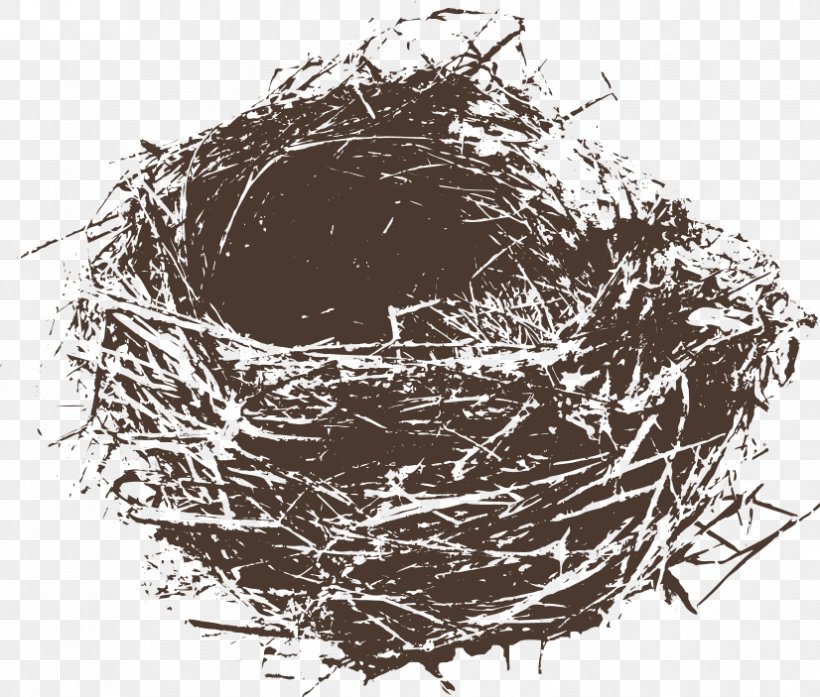 University Of Lleida Gestions Creatives Information Space Knowledge, PNG, 826x703px, University Of Lleida, Bird Nest, Black And White, Branch, Concept Download Free
