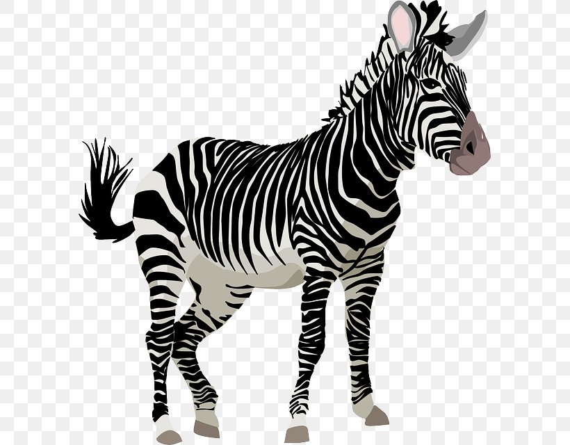 Zebra Free Content Cuteness Clip Art, PNG, 593x640px, Zebra, Animation, Black And White, Cartoon, Cuteness Download Free