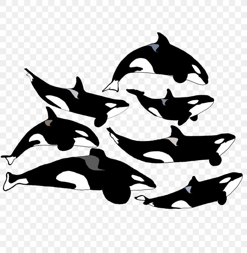 Dolphin SeaWorld Orlando Tilikum Katina Killer Whale, PNG, 2458x2519px, Dolphin, Black, Black And White, Dawn Brancheau, Family Download Free