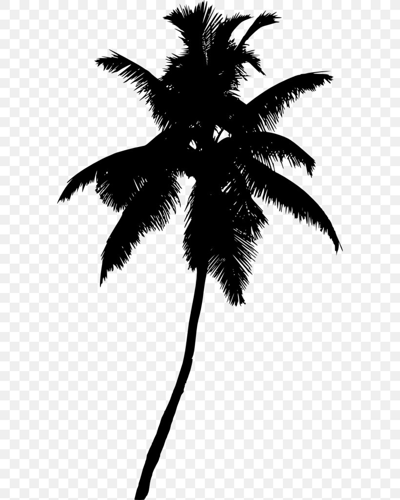 Arecaceae Tree Plant Clip Art, PNG, 586x1024px, Arecaceae, Arecales, Asian Palmyra Palm, Black And White, Borassus Flabellifer Download Free