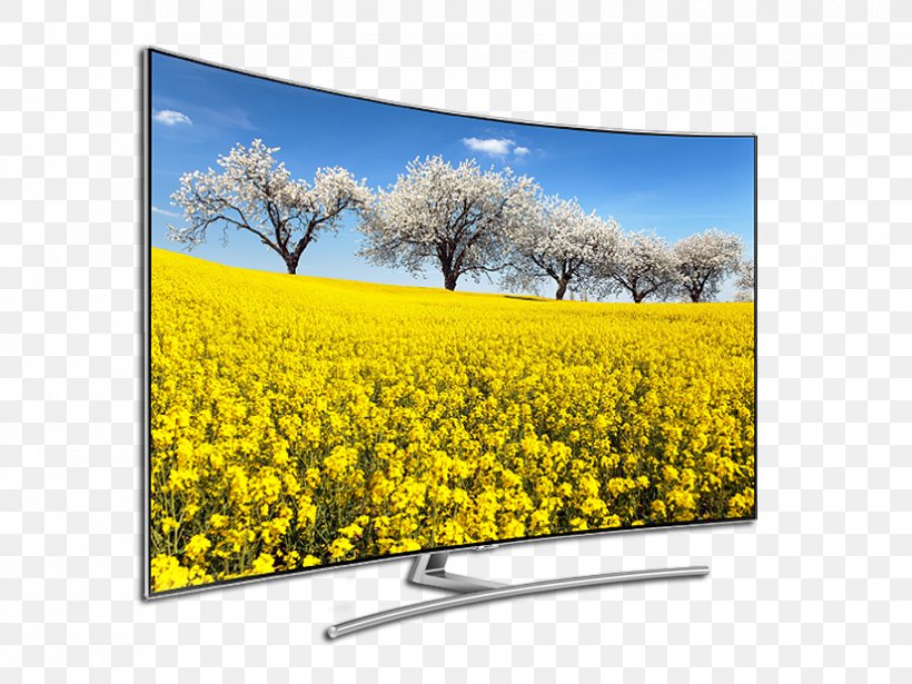 Canola Photography Landscape Television, PNG, 826x620px, Canola, Advertising, Banco De Imagens, Black And White, Computer Monitor Download Free