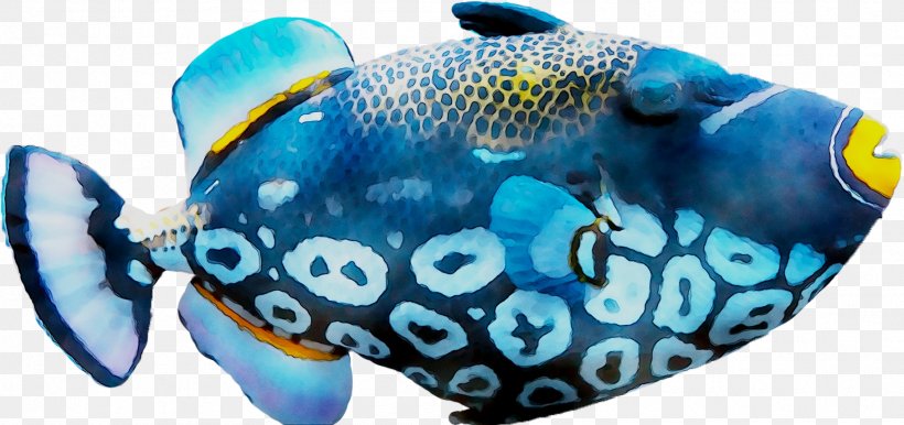 Coral Reef Fish Marine Biology, PNG, 1816x857px, Coral Reef Fish, Biology, Blue, Coin Purse, Coral Download Free