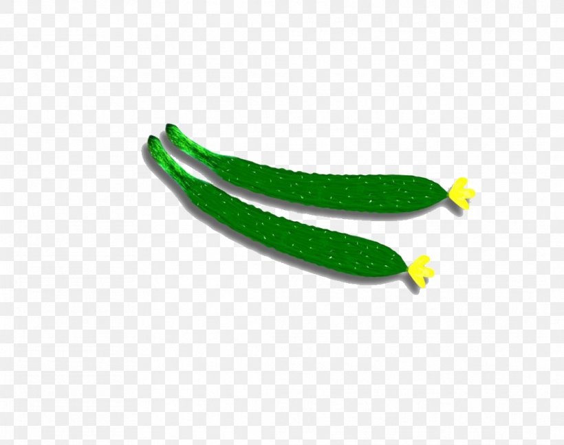 Cucumber Vegetable Cartoon, PNG, 1063x841px, Cucumber, Cartoon, Drawing, Food, Grass Download Free