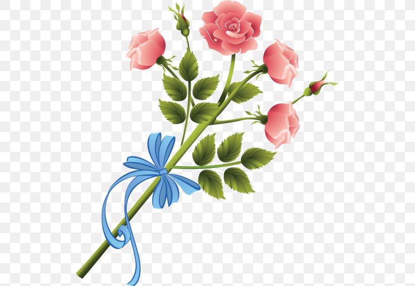 Garden Roses Cut Flowers Machine Embroidery, PNG, 519x565px, Garden Roses, Applique, Branch, Bud, Cut Flowers Download Free