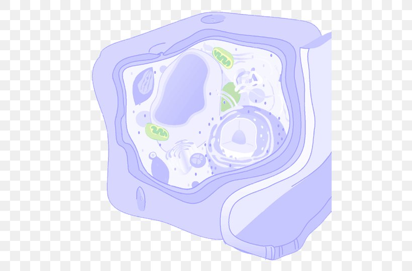 Plant Cell Organism, PNG, 500x540px, Plant Cell, Aqua, Blue, Cell, Diagram Download Free