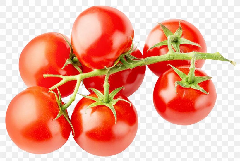 Tomato Juice Cherry Tomato Vegetable Fruit, PNG, 840x564px, Tomato Juice, Auglis, Bush Tomato, Canned Tomato, Cherry Download Free