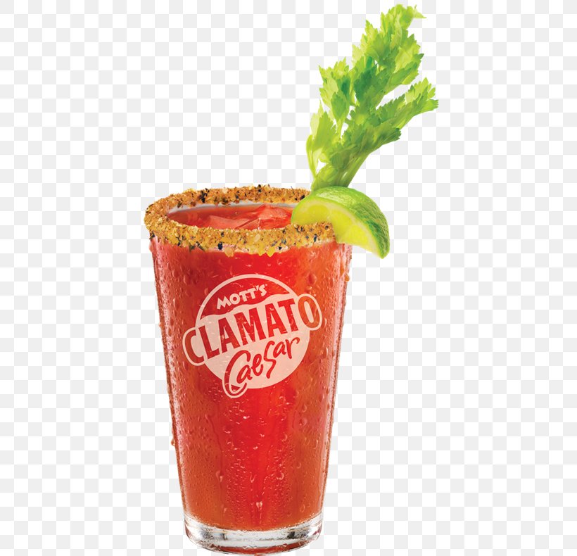 Caesar Bloody Mary Clamato Michelada Bacon Vodka, PNG, 429x790px, Caesar, Bacon Vodka, Bloody Mary, Clam, Clamato Download Free