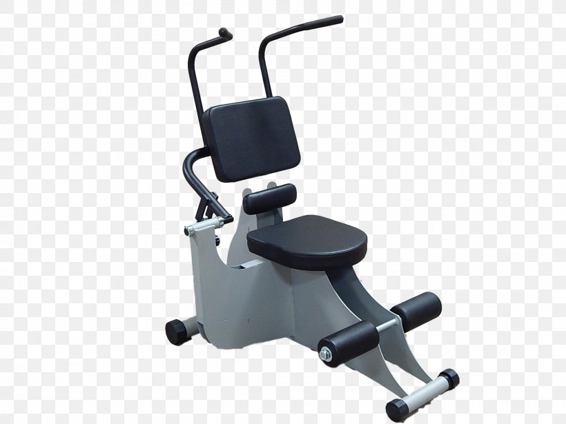 Elliptical Trainers Exercise Bikes Hydraulic Exercise Equipment Circuit Training, PNG, 1600x1200px, Elliptical Trainers, Bench Press, Biceps, Chair, Circuit Training Download Free