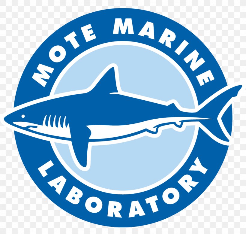 Mote Marine Laboratory & Aquarium Science Research, PNG, 1094x1040px, Laboratory, Aquaculture Of Coral, Area, Artwork, Beach Download Free