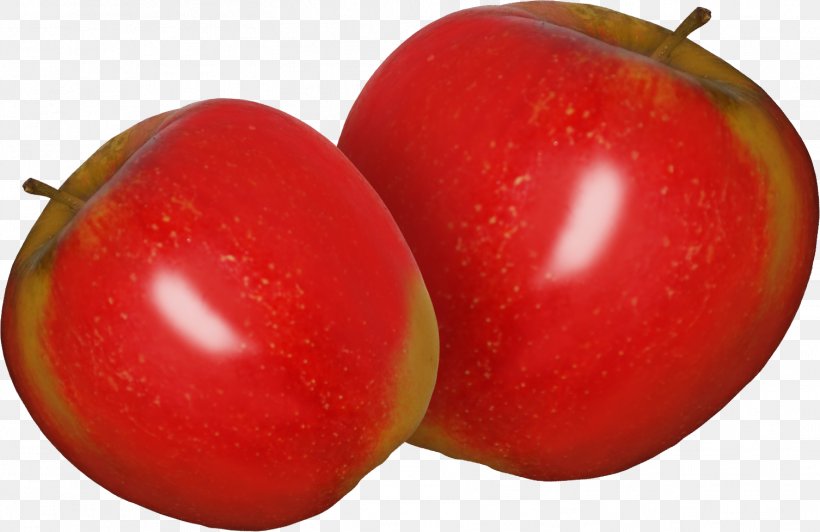 Plum Tomato Apple Auglis Clip Art, PNG, 1506x978px, Plum Tomato, Acerola, Acerola Family, Apple, Auglis Download Free
