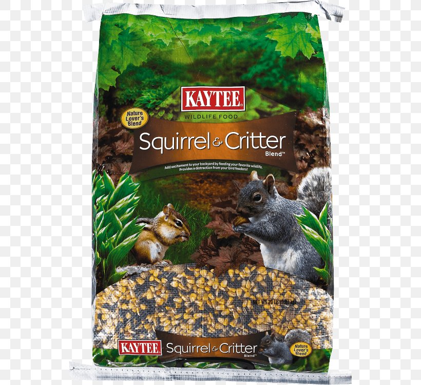 Squirrel Bird Food Kaytee Parrot, PNG, 750x750px, Squirrel, Bird, Bird Feeders, Bird Food, Cereal Download Free