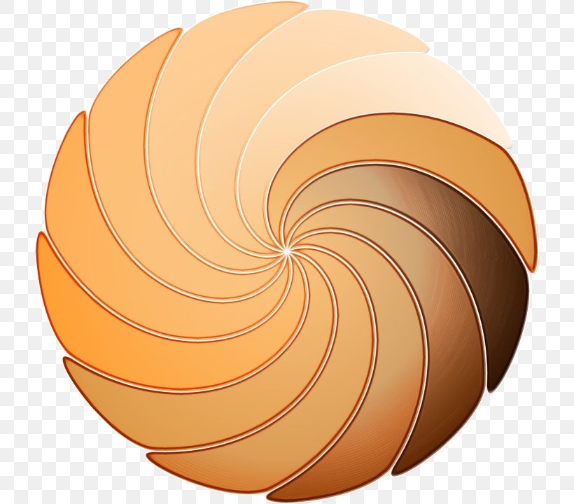 Circle Background, PNG, 720x720px, Nautiluses, Commodity, Fahrenheit, Orange, Shape Download Free