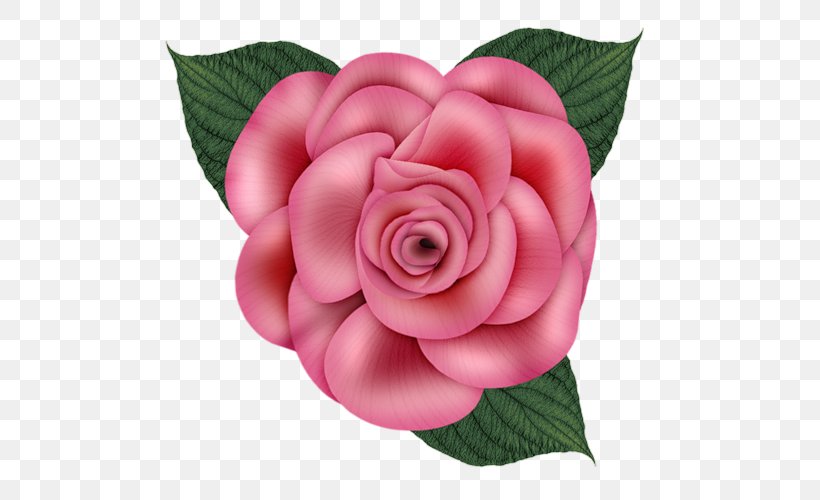 Garden Roses Paper Cabbage Rose Clip Art, PNG, 500x500px, Garden Roses, Blog, Cabbage Rose, Camellia, Cut Flowers Download Free