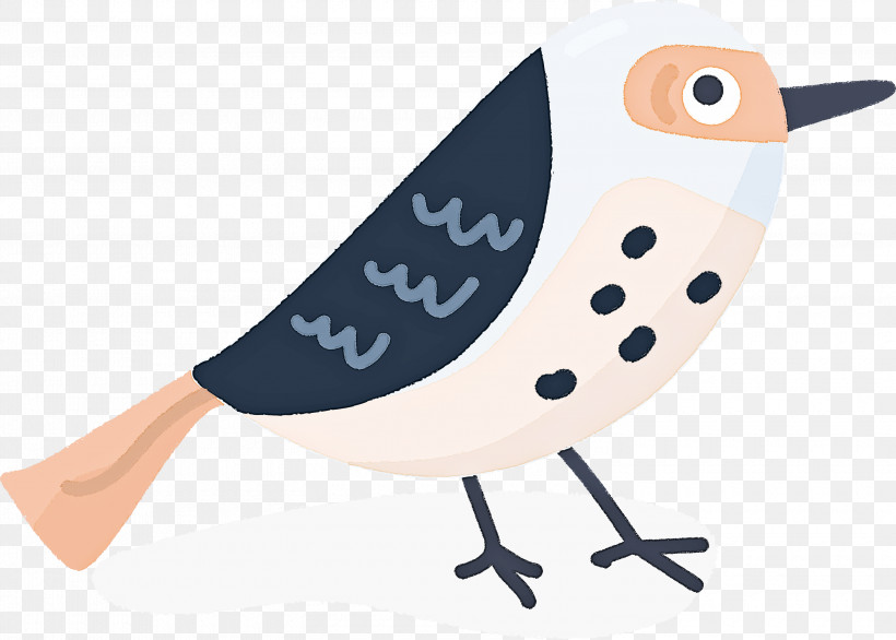 Beak Cartoon, PNG, 3000x2147px, Cartoon Bird, Beak, Cartoon, Cute Bird Download Free