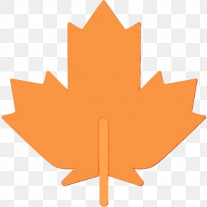 Plane Plant - Canada Maple Leaf PNG