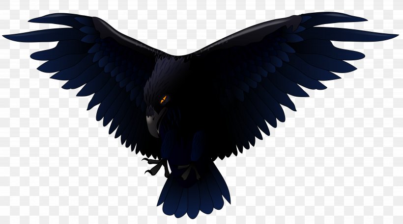 Common Raven Bird Euclidean Vector Clip Art, PNG, 4928x2748px, Hooded Crow, Beak, Bird, Bird Of Prey, Common Raven Download Free