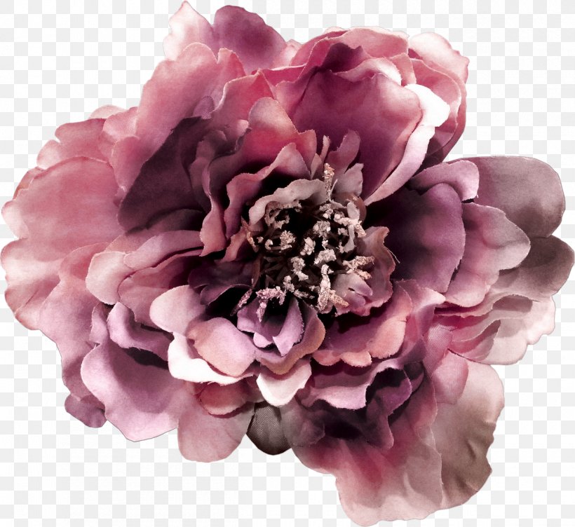 Photography Flower LiveInternet, PNG, 1200x1101px, Photography, Blog, Blossom, Centifolia Roses, Cut Flowers Download Free