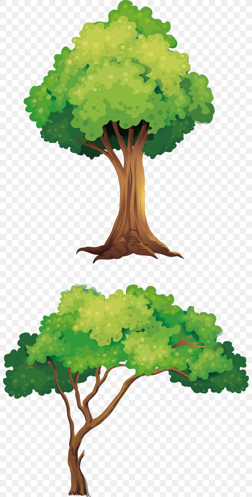 Tree Drawing Clip Art, PNG, 800x1615px, Tree, Branch, Drawing, Forest, Grass Download Free
